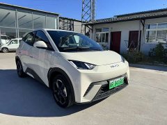 BYD Seagull Glory Edition 405km Flying Edition - ფოტო 3