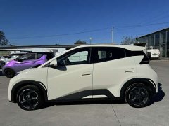 BYD Seagull Glory Edition 405km Flying Edition - ფოტო 5