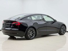 Tesla Model 3 Facelift Standard Range RWD Upgrade 3D1 - ფოტო 8