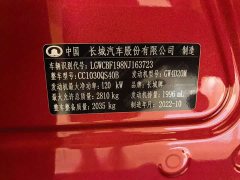Nissan Cannon 2021 2.0T Passenger Global Edition Automatic Diesel 2WD Comfort Standard Box GW4D20M - ფოტო 12