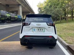 Chery Pro 301km Edition - ფოტო 18