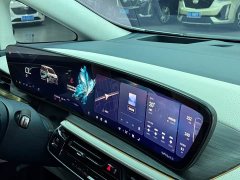 Buick Century 2.0T Four-Seater Private Edition - ფოტო 10