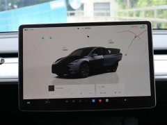 Tesla Model Y Rear-Wheel Drive - ფოტო 11
