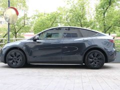 Tesla Model Y Rear-Wheel Drive - ფოტო 2
