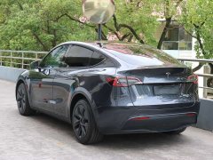 Tesla Model Y Rear-Wheel Drive - ფოტო 3