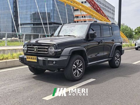2025 Tank 300 2024 2.0T Explorer - ავტომობილი ჩინეთიდან