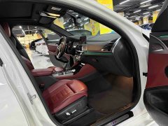 BMW X4 xDrive 25i M Sport Package - ფოტო 6