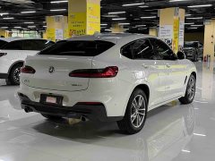 BMW X4 xDrive 25i M Sport Package - ფოტო 7