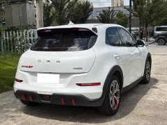 Ora GT Edition 401km Luxury Version - ფოტო 12