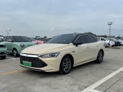 BYD Qin Plus DM-i 55KM Flagship - ფოტო 1