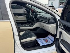 BYD Qin Plus DM-i 55KM Flagship - ფოტო 10