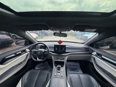BYD Qin Plus DM-i 55KM Flagship - ფოტო 12