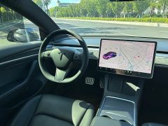 Tesla Model 3 Performance All-Wheel Drive - ფოტო 9