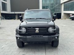 Tank 300 2.0T Gasoline Conqueror - ფოტო 2