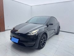 Tesla Model Y Standard Range RWD - ფოტო 1