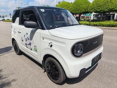 Geely Panda Mini 200km Endurance Edition - ფოტო 1