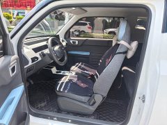 Geely Panda Mini 200km Endurance Edition - ფოტო 10