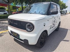 Geely Panda Mini 200km Endurance Edition - ფოტო 2