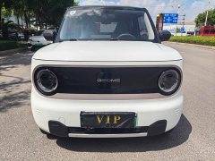 Geely Panda Mini 200km Endurance Edition - ფოტო 3