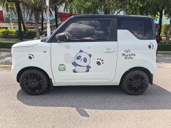 Geely Panda Mini 200km Endurance Edition - ფოტო 4