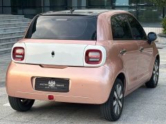 ORA Black Cat 351km Luxury - ფოტო 6