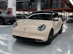 ORA Good Cat 2024 401km Deluxe 126kW - ფოტო 1