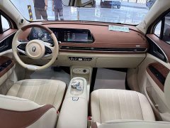 ORA Good Cat 2024 401km Deluxe 126kW - ფოტო 11