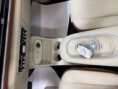 ORA Good Cat 2024 401km Deluxe 126kW - ფოტო 6