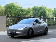 Tesla Model Y Performance All-Wheel Drive - ფოტო 1