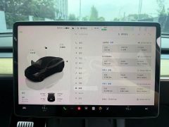 Tesla Model Y Performance All-Wheel Drive - ფოტო 11