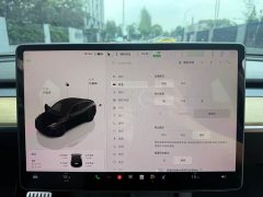 Tesla Model Y Performance All-Wheel Drive - ფოტო 12
