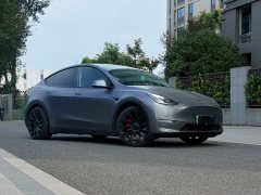 Tesla Model Y Performance All-Wheel Drive - ფოტო 2