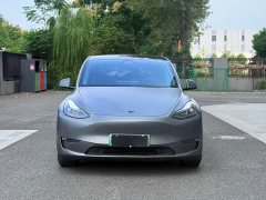 Tesla Model Y Performance All-Wheel Drive - ფოტო 3