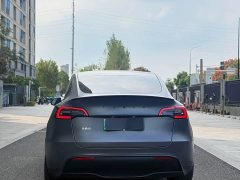 Tesla Model Y Performance All-Wheel Drive - ფოტო 4