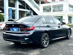 BMW 3 Series 320Li M Sport Package - ფოტო 9