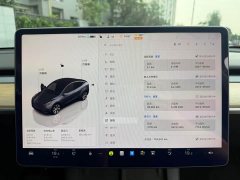 Tesla Model Y Facelift Rear-Wheel Drive - ფოტო 12