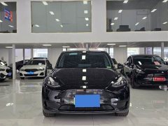 Tesla Model Y 2023 Rear-Wheel Drive - ფოტო 2