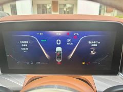 FAW Red Flag H9 2.0T Smart Connected Premium Edition - ფოტო 10