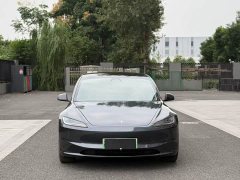 Tesla Model 3 Rear-Wheel Drive - ფოტო 1