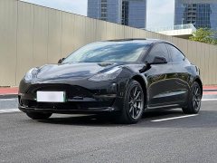 Tesla Model 3 Standard Range RWD Upgrade - ფოტო 1