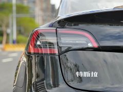 Tesla Model 3 Standard Range RWD Upgrade - ფოტო 10