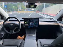 Tesla Model 3 Standard Range RWD Upgrade - ფოტო 19
