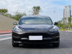 Tesla Model 3 Standard Range RWD Upgrade - ფოტო 2