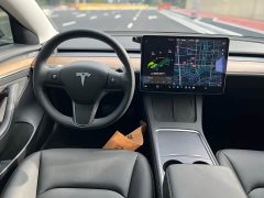 Tesla Model 3 Standard Range RWD Upgrade - ფოტო 20