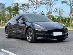 Tesla Model 3 Standard Range RWD Upgrade - ფოტო 3