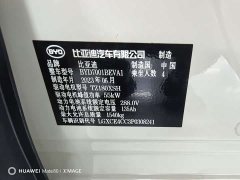 BYD Seagull Flying Edition - ფოტო 11