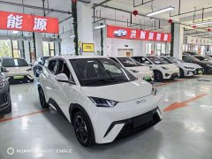 BYD Seagull Flying Edition - ფოტო 3