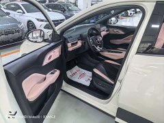 BYD Seagull Flying Edition - ფოტო 8