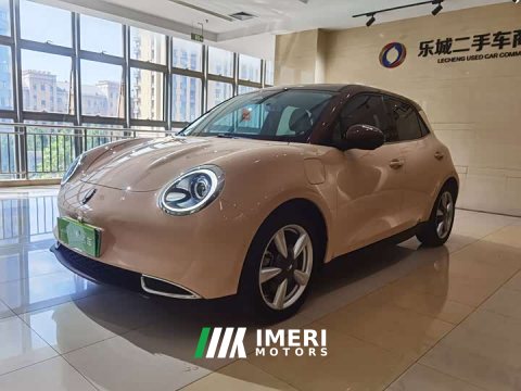 2021 ORA Good Cat 400km Standard Range Athena Edition LFP Battery - ავტომობილი ჩინეთიდან