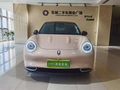 ORA Good Cat 400km Standard Range Athena Edition LFP Battery - ფოტო 2